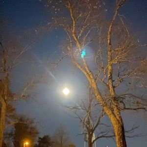 Meet your Posher, Kerigan